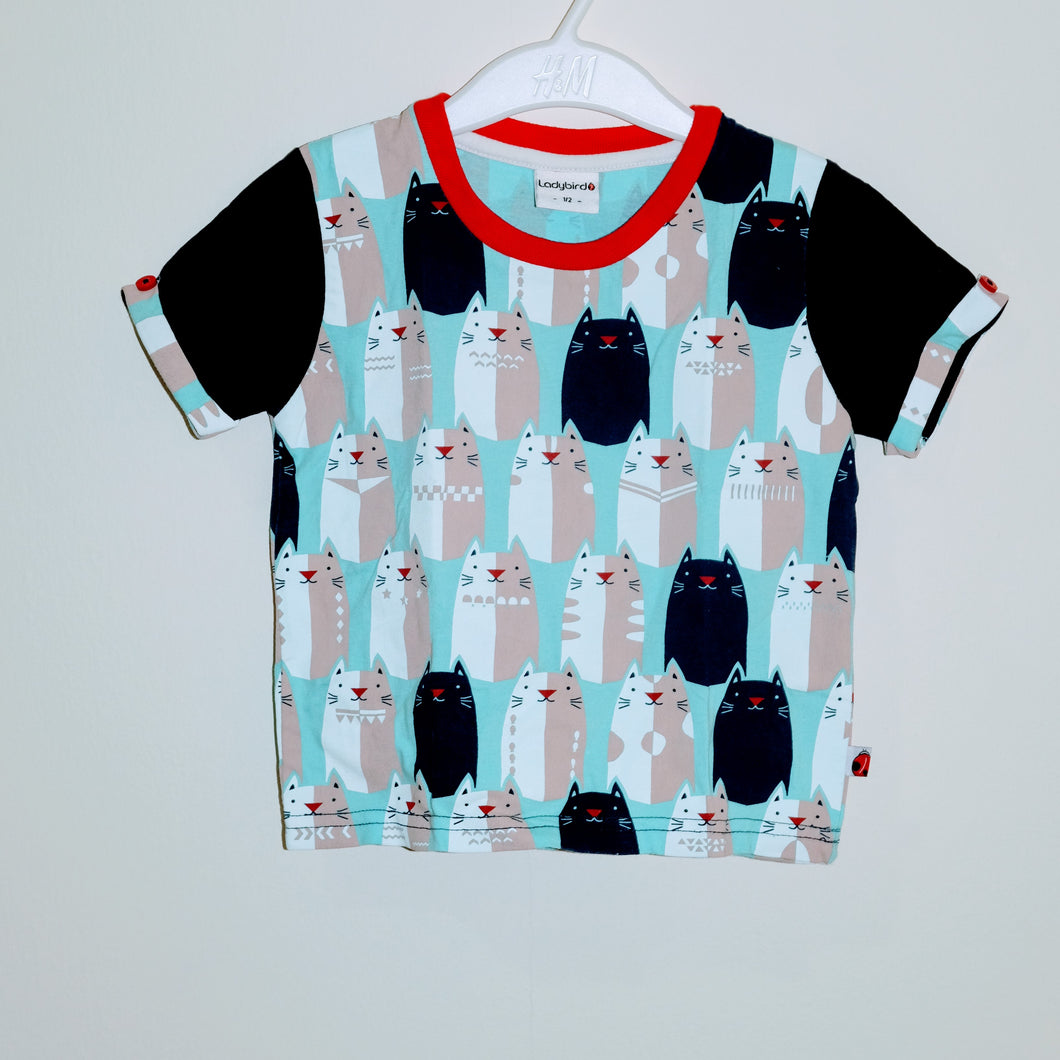 Ladybird T-shirt - 12 months